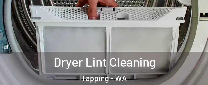 Dryer Lint Cleaning Tapping - WA