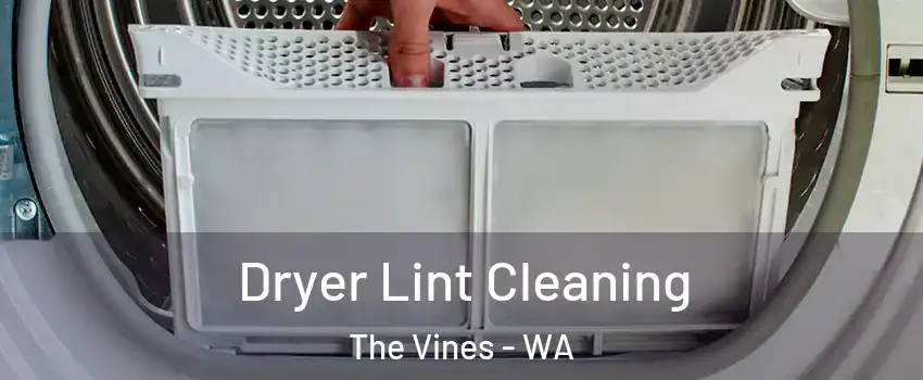 Dryer Lint Cleaning The Vines - WA