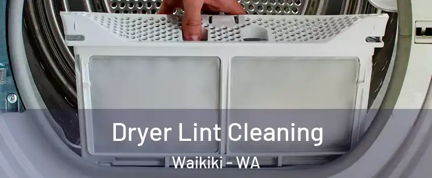 Dryer Lint Cleaning Waikiki - WA