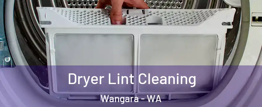 Dryer Lint Cleaning Wangara - WA