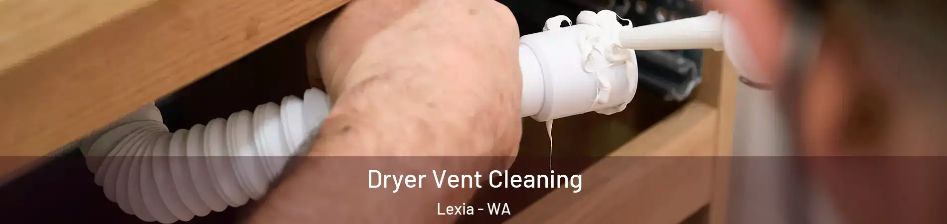 Dryer Vent Cleaning Lexia - WA