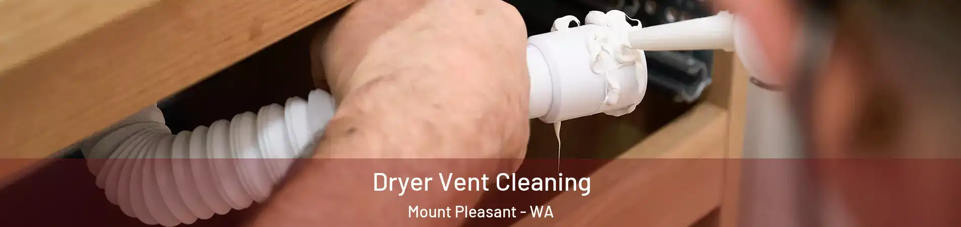 Dryer Vent Cleaning Mount Pleasant - WA