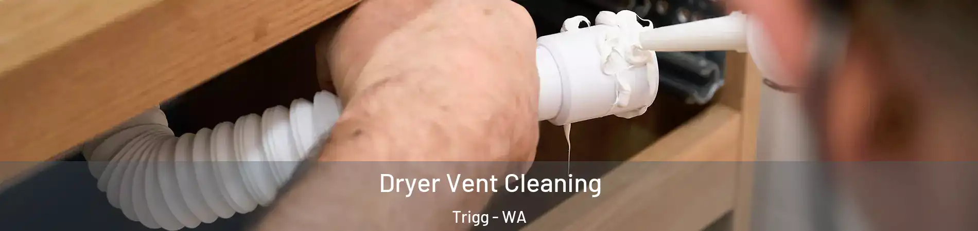 Dryer Vent Cleaning Trigg - WA