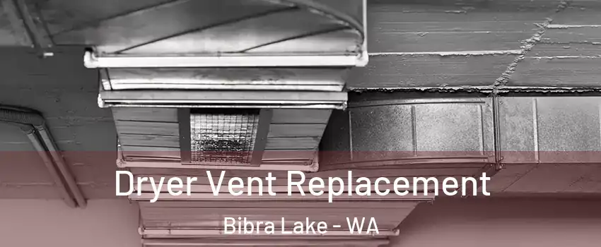 Dryer Vent Replacement Bibra Lake - WA