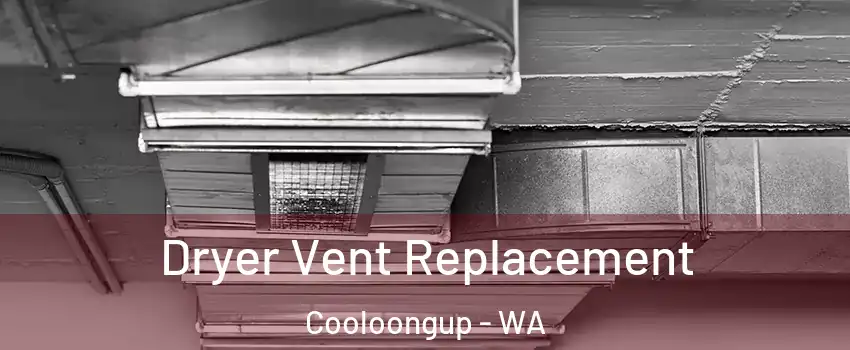 Dryer Vent Replacement Cooloongup - WA