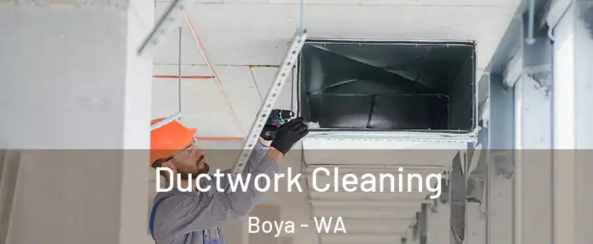 Ductwork Cleaning Boya - WA