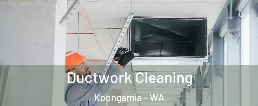 Ductwork Cleaning Koongamia - WA