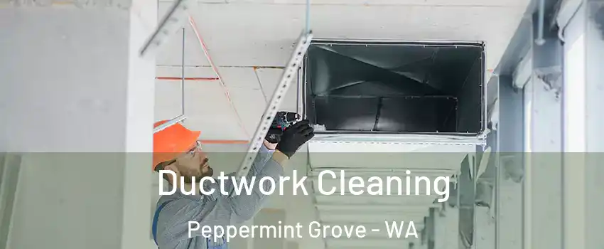 Ductwork Cleaning Peppermint Grove - WA
