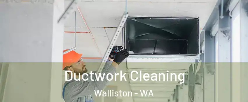 Ductwork Cleaning Walliston - WA
