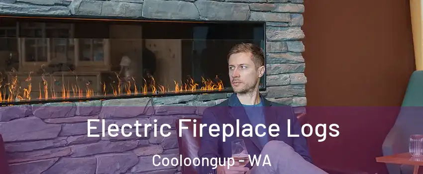 Electric Fireplace Logs Cooloongup - WA