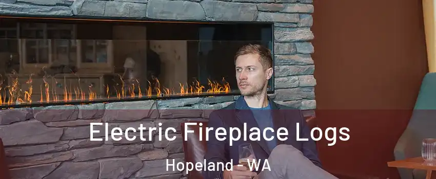Electric Fireplace Logs Hopeland - WA