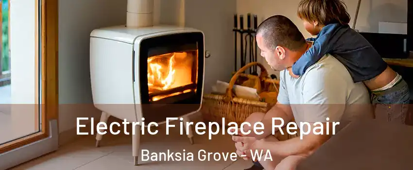 Electric Fireplace Repair Banksia Grove - WA