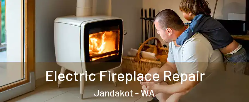 Electric Fireplace Repair Jandakot - WA