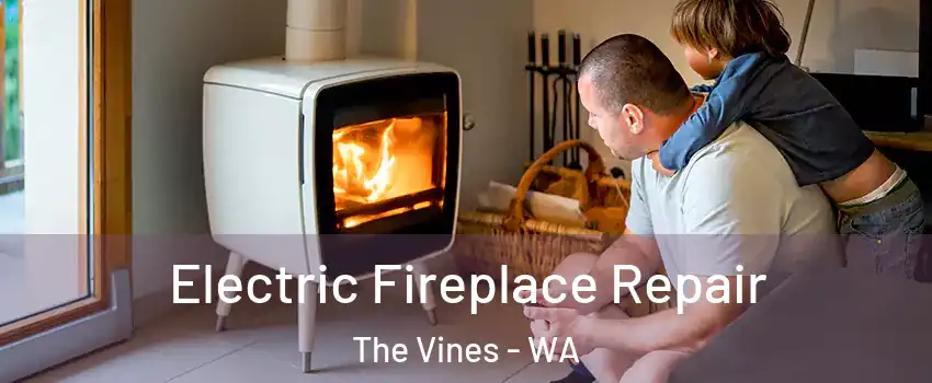 Electric Fireplace Repair The Vines - WA