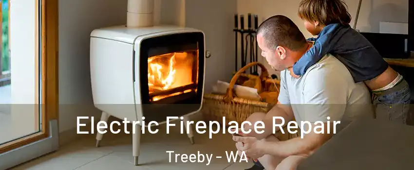 Electric Fireplace Repair Treeby - WA