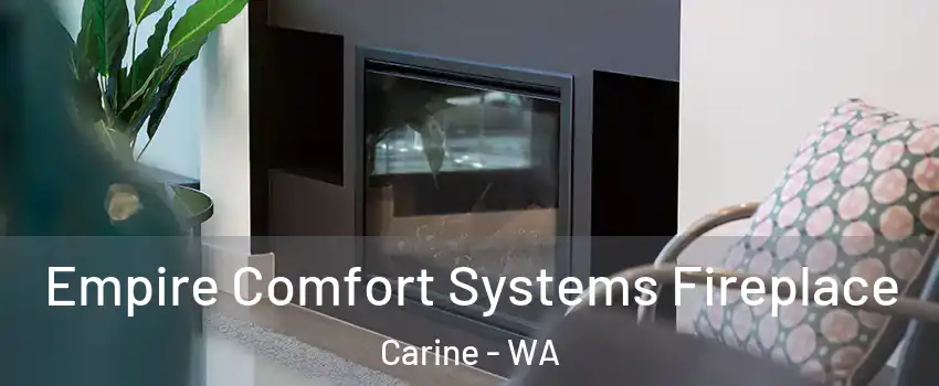 Empire Comfort Systems Fireplace Carine - WA