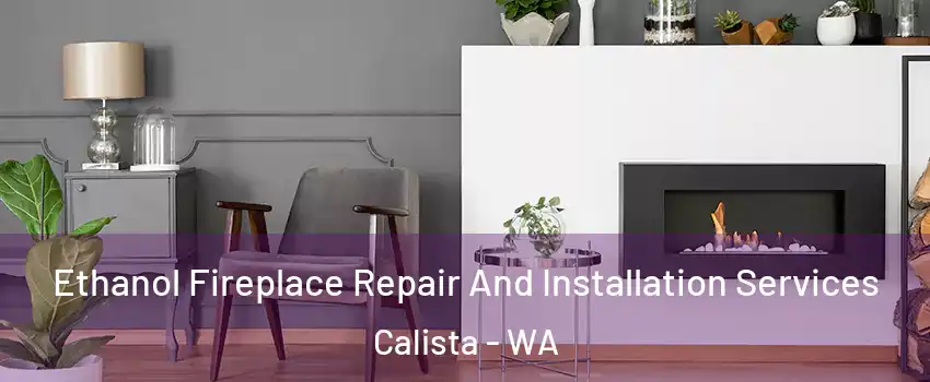 Ethanol Fireplace Repair And Installation Services Calista - WA