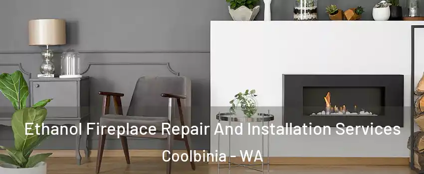 Ethanol Fireplace Repair And Installation Services Coolbinia - WA