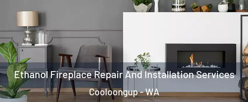 Ethanol Fireplace Repair And Installation Services Cooloongup - WA