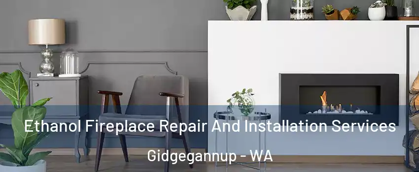 Ethanol Fireplace Repair And Installation Services Gidgegannup - WA