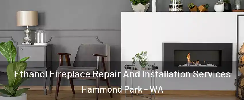 Ethanol Fireplace Repair And Installation Services Hammond Park - WA
