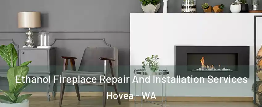 Ethanol Fireplace Repair And Installation Services Hovea - WA