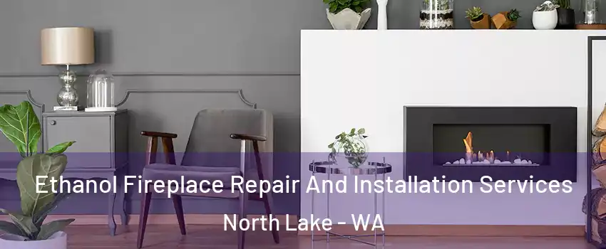 Ethanol Fireplace Repair And Installation Services North Lake - WA