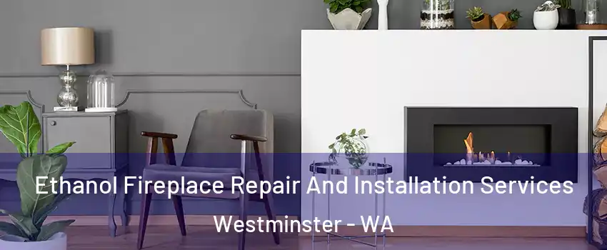 Ethanol Fireplace Repair And Installation Services Westminster - WA