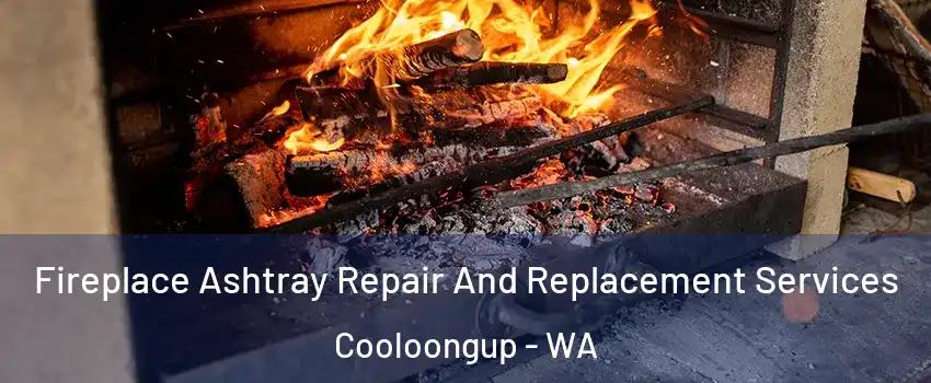 Fireplace Ashtray Repair And Replacement Services Cooloongup - WA