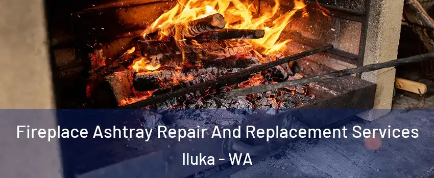 Fireplace Ashtray Repair And Replacement Services Iluka - WA
