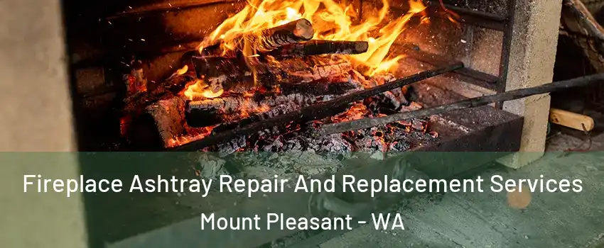 Fireplace Ashtray Repair And Replacement Services Mount Pleasant - WA