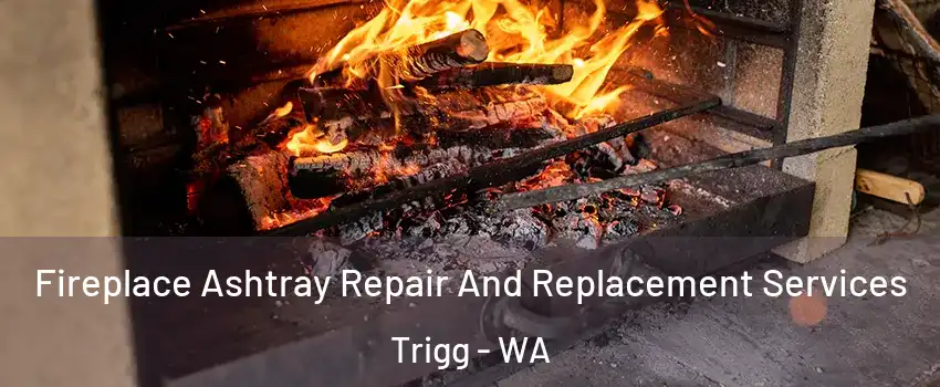 Fireplace Ashtray Repair And Replacement Services Trigg - WA