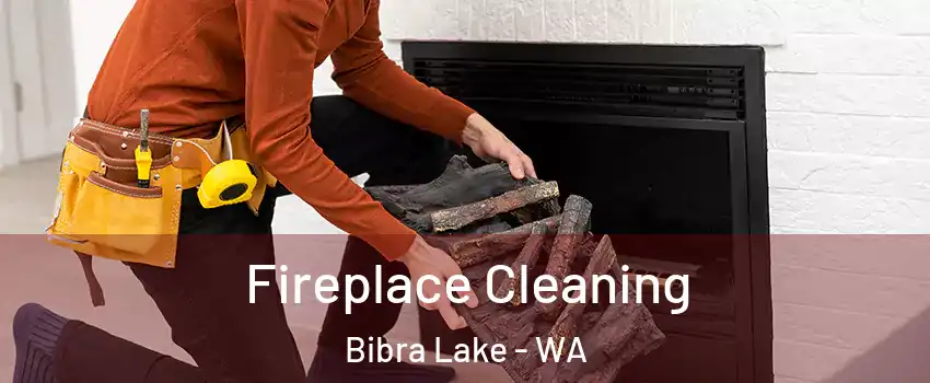 Fireplace Cleaning Bibra Lake - WA