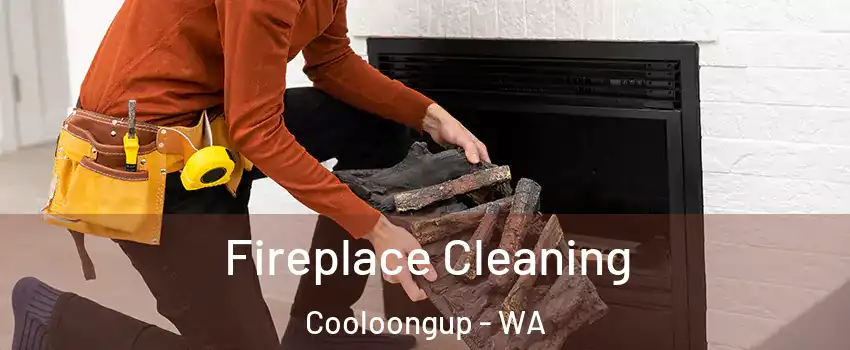 Fireplace Cleaning Cooloongup - WA