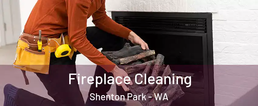 Fireplace Cleaning Shenton Park - WA