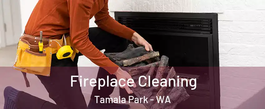 Fireplace Cleaning Tamala Park - WA