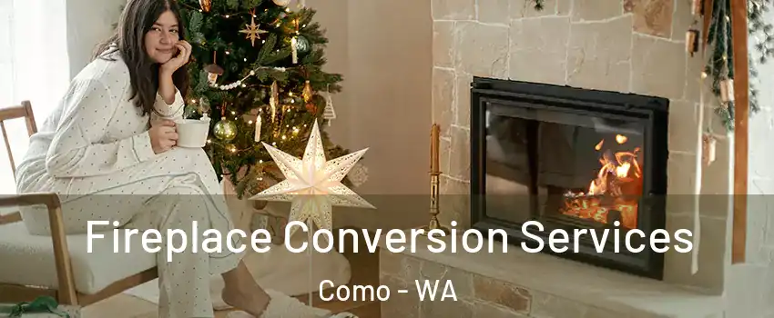 Fireplace Conversion Services Como - WA