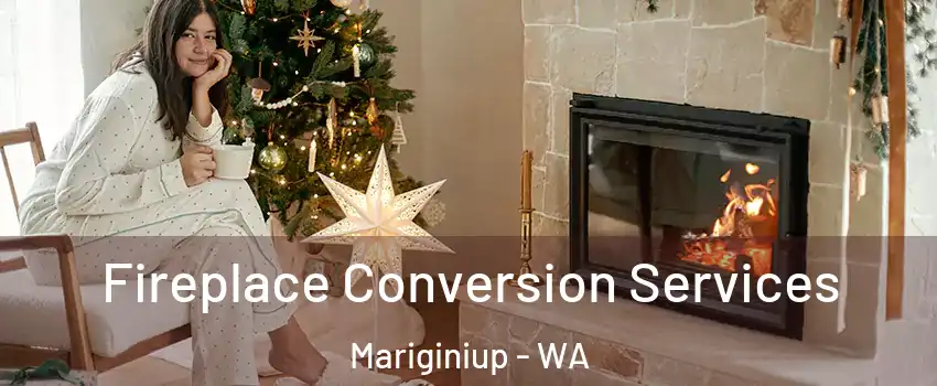 Fireplace Conversion Services Mariginiup - WA
