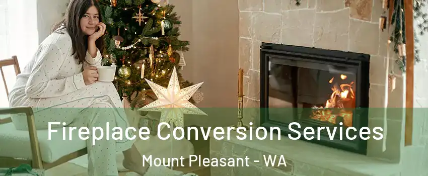 Fireplace Conversion Services Mount Pleasant - WA