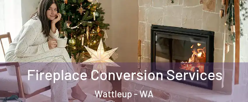 Fireplace Conversion Services Wattleup - WA
