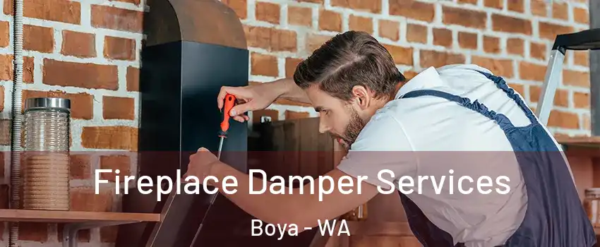 Fireplace Damper Services Boya - WA