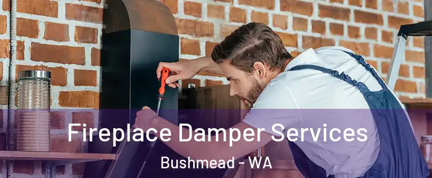 Fireplace Damper Services Bushmead - WA
