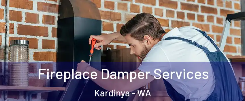 Fireplace Damper Services Kardinya - WA