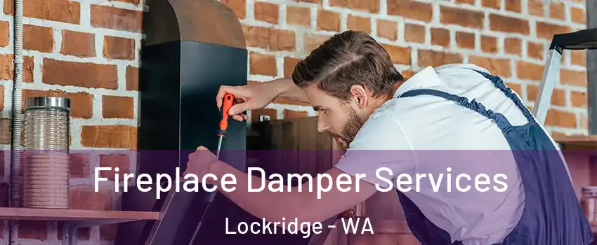 Fireplace Damper Services Lockridge - WA
