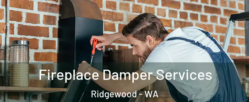 Fireplace Damper Services Ridgewood - WA
