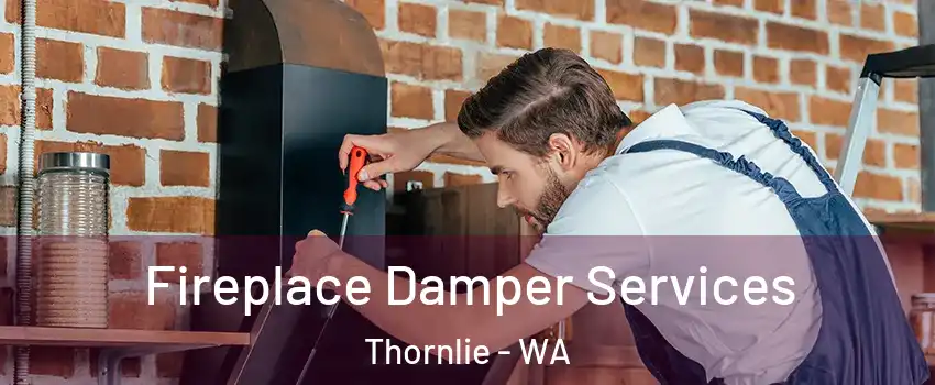 Fireplace Damper Services Thornlie - WA
