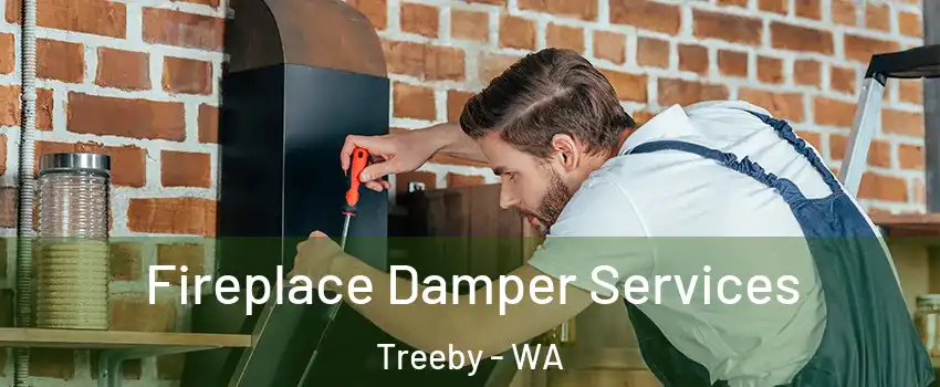 Fireplace Damper Services Treeby - WA