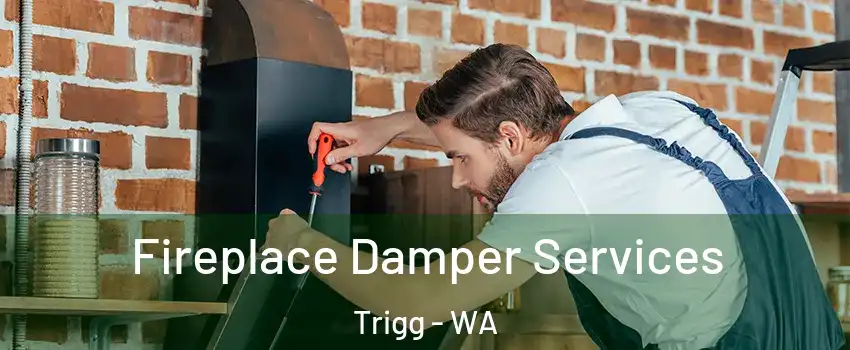Fireplace Damper Services Trigg - WA
