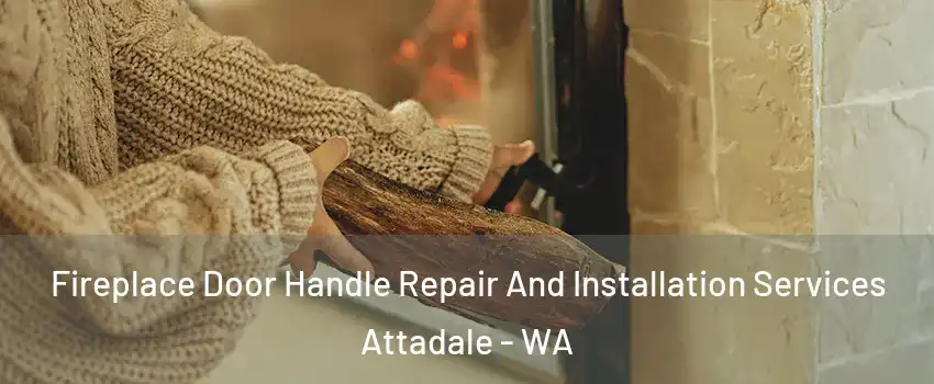Fireplace Door Handle Repair And Installation Services Attadale - WA