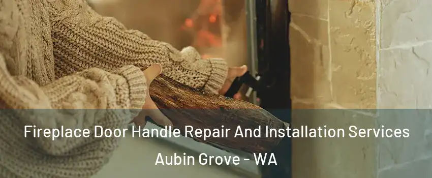 Fireplace Door Handle Repair And Installation Services Aubin Grove - WA